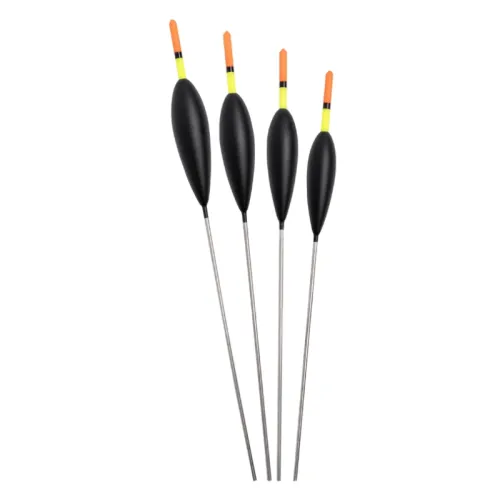 A01058854_25396