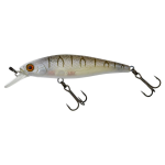 SP TIGER BONE