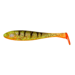 MAGIC PERCH