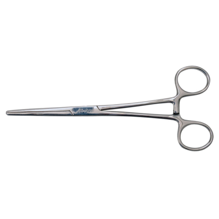 A01006150_20446