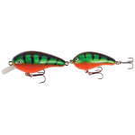 GREEN PERCH