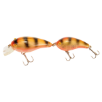 GOLDEN PERCH