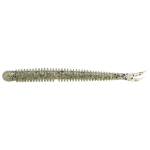 SILVER SHAD