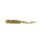GINGER SHRIMP