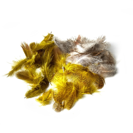 A01027971_806