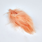CORAIL