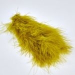 GOLDEN OLIVE