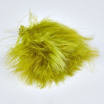 GOLDEN OLIVE