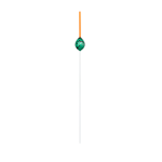1.00G