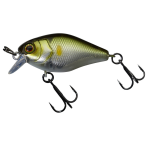 PERCH