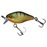 AGGRESSIVE PERCH