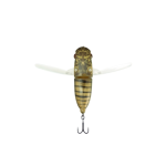 LAKE HIBARA SPRING CICADA