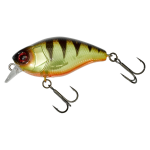 PERCH