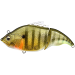 GLX GALAXY GILL