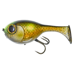 VISIBLE GOLD CARP