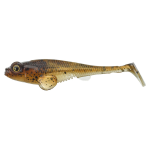 WILD GOBY