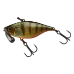 AGRESSIVE PERCH