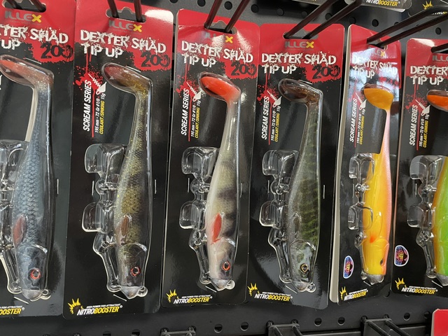dexter shad illex pre monte