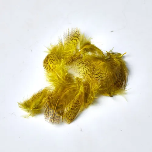 A01027972_810